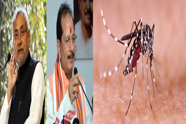 बिहार में डेंगू की रफ्तार बढ़ी, 300 से अधिक पीड़ित